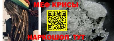 стафф Донской