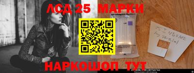 стафф Донской