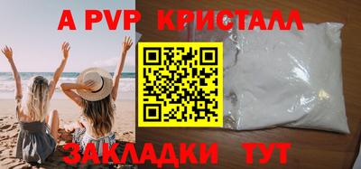 стафф Донской